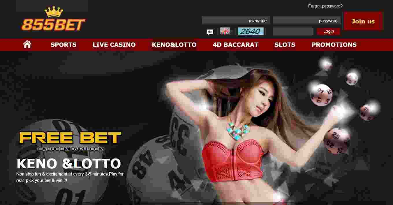 Các bước để gia nhập P3bet - P3bet