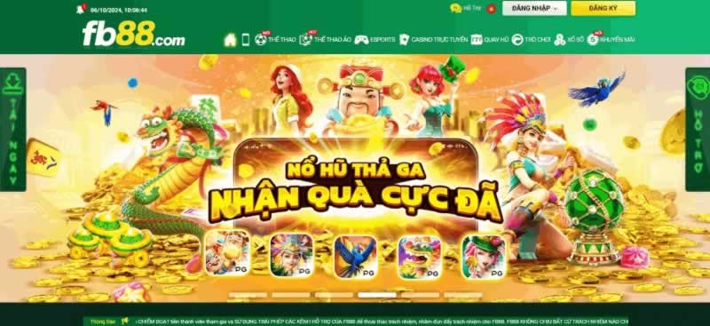 Tại sao bạn lại chọn tham gia các trận đấu bóng đá cấp độ Ku11? - Ku11