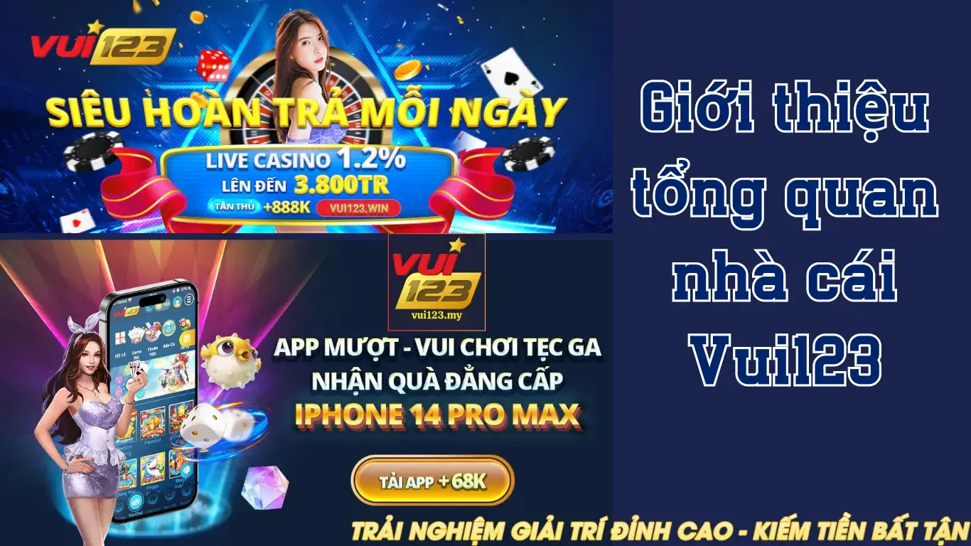 Một loạt các trò chơi được xếp hạng Letou đáng để thử - Letou