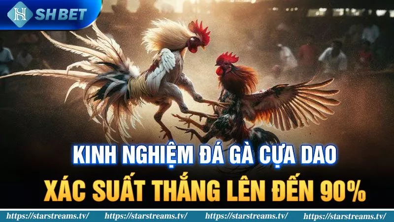 Sb365 tặng thưởng từ 3x đến 5x cho hai lần nạp tiền đầu tiên của bạn - Sb365