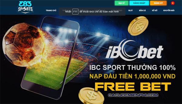 Đánh giá sau khi trải nghiệm một trò chơi cấp độ Laucuagame - Laucuagame