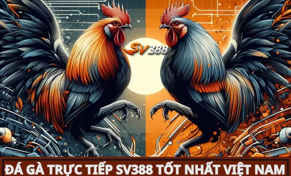 Bk8 là gì? Giới thiệu ngắn gọn về trang web game Bk8 - Bk8