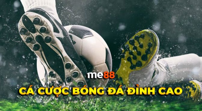 Thông tin liên hệ VIP Tdtc - Tdtc