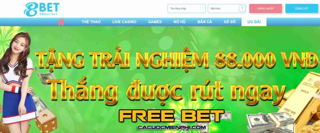 Năm vị trí hàng đầu: Cấp độ 69Vn – Danh tiếng xuất sắc - 69Vn