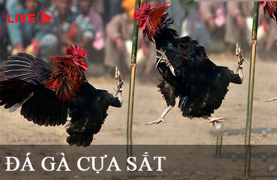Tobet đã cập nhật liên kết của mình để cung cấp thông tin chính xác hơn - Tobet