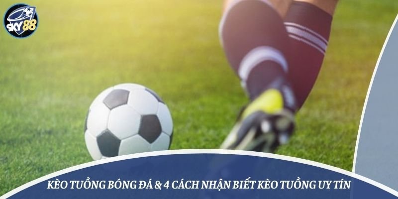Các chính sách dành cho đại lý cấp Vwin88 rất hấp dẫn - Vwin88