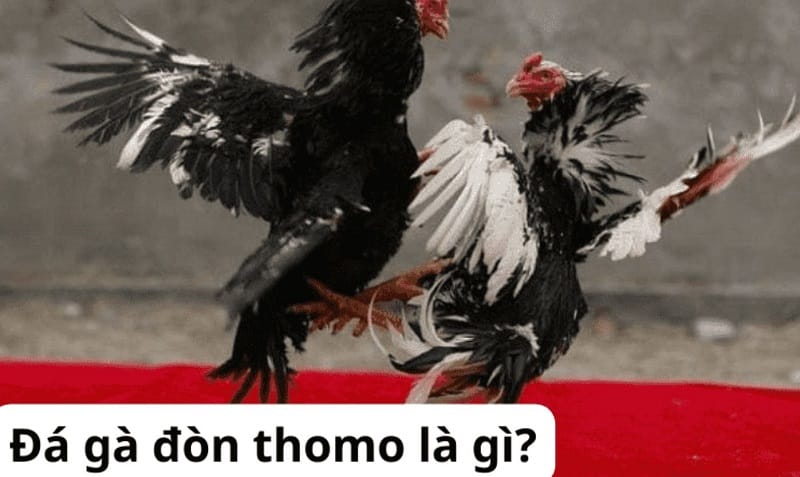 Thông tin về các trò chơi/máy đánh bạc Fconline - Fconline