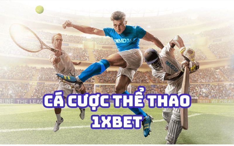 Phơi bày những hành vi gian lận và phương thức thanh toán tiền thưởng thiếu minh bạch của Vt999 - Vt999