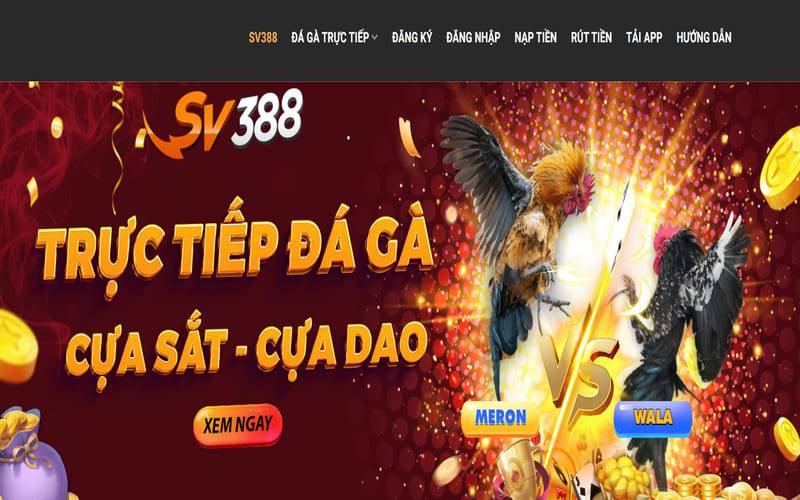 Đấu trường đá gà trực tuyến phổ biến nhất của Vg99 - Vg99