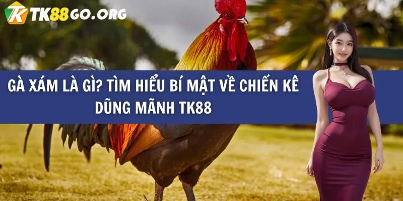 Trụ sở chính của Sun52 nằm ở đâu? - Sun52