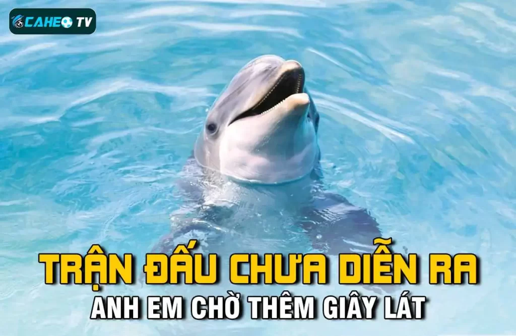 Sử dụng Zet88 để gửi và rút tiền rất tiện lợi - Zet88